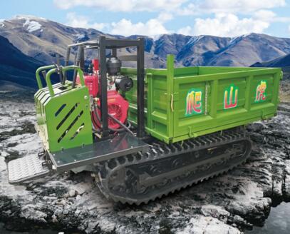 Dumper 1