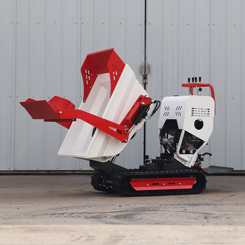 Mini Dumper4