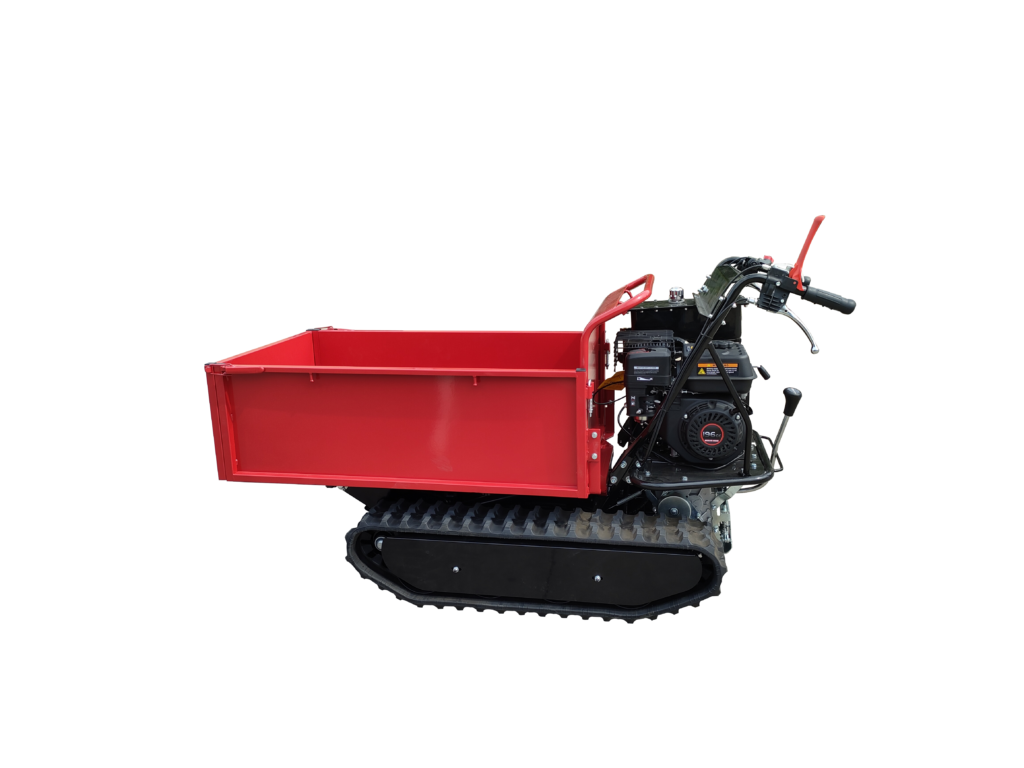 IMG20240705091829-1024x768