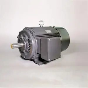 Low-Voltage-3-Phase-Asynchronous-Motor-with-Cast-Iron-Housing-300x300